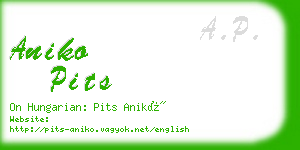 aniko pits business card